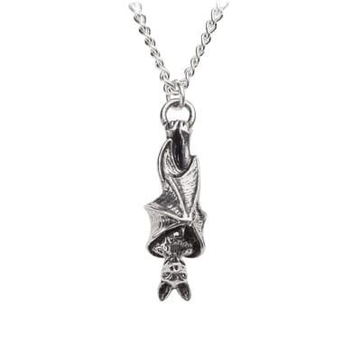 Alchemy - AWAITING THE EVENTIDE Ketting - Zilverkleurig