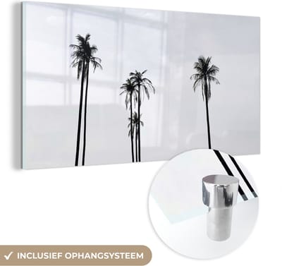 MuchoWow® Glasschilderij 120x60 cm - Schilderij acrylglas - Palmbomen - Zomer - Tropisch - Foto op glas - Schilderijen