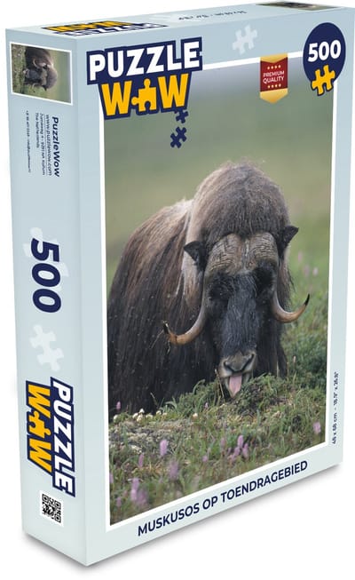 Puzzel Muskusos op toendragebied - Legpuzzel - Puzzel 500 stukjes