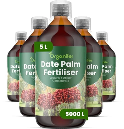 Vloeibare Meststof Voor Dadelpalm 5X1 L Voor 5000 L - Npk 2-1-8 - Bevordert Sterke Stam- En Bladontwikkeling Voor Een Stabiel - Hoge Palmstructuur - Ondersteunt Langdurige Productiviteit - Organifer