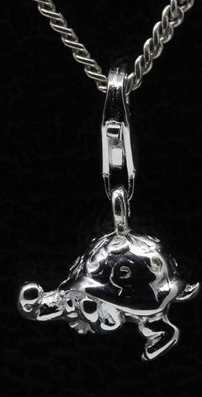 Zilveren Schildpad 3D hanger én bedel