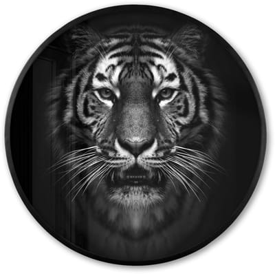 Poster in lijst Rond - Fotolijst 60x60 cm - Posters - Tijger - Dieren - Zwart - Wit - Portret - Wild - Ronde posterlijst zwart - Decoratie - Wanddecoratie woonkamer - Muurdecoratie slaapkamer