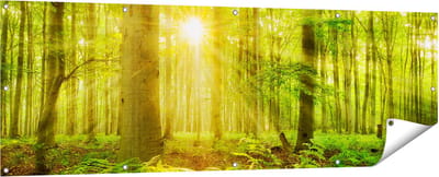Gards Tuinposter Groen Bos met Schijnende Zonnestralen - 180x60 cm - Tuindoek - Tuindecoratie - Wanddecoratie buiten - Tuinschilderij