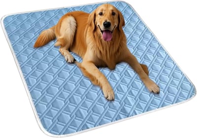 Koelmat voor honden en katten - Zomerkoelmat - Ademend en wasbaar - Eenvoudig te reinigen koelmat/ligbed - Antislip - Voor bench kennel huis vloer - Voor alle soorten huisdieren - 70 x 50 cm - Blauw