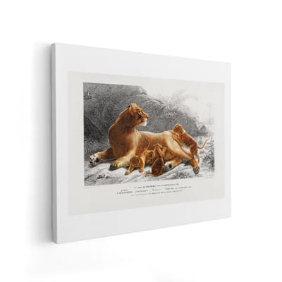 Artaza Canvas Schilderij Leeuwin Met Welpen - 50x40 cm - Wanddecoratie Leeuw - Muurdecoratie Dieren - Vintage Schilderijen Op Canvas