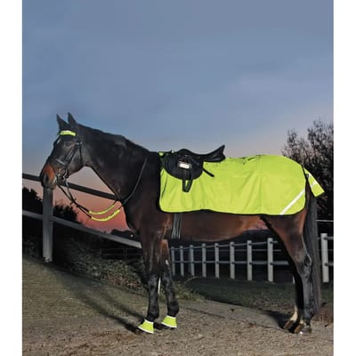 Waldhausen REFLEX nierdeken, fleece Pony Geel