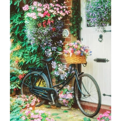 Strass vélo broderie artisanat 5D bricolage diamant Kits de broderie diamant mur Art décor 20X30CM gray