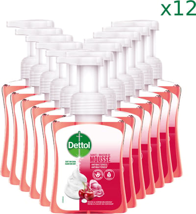 Dettol Handzeep Zachte Mousse - Roos & Kersenbloesem - 250ml x12