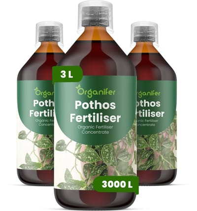 Vloeibare Meststof Voor Pothos 3X1 L Voor 3000 L - Npk 2-1-8 - Ondersteunt Gelijkmatige Rankgroei En Dicht Blad - Verbetert Wortelactiviteit - Verbetert De Tolerantie Voor Omgevingsstress Binnenshuis - Organifer