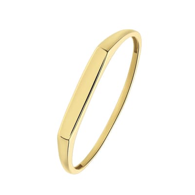Lucardi Dames 14 karaat geelgouden ring met bar - Ring - 14 Karaat Goud - Geelgoud - 19.50 / 62 mm