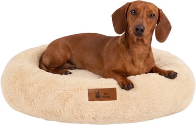 Pet Perfect Orthopedische Hondenmand – Donut Hondenmand – Hondenkussen – Hondenbed – Wasbaar - 60 cm - Beige