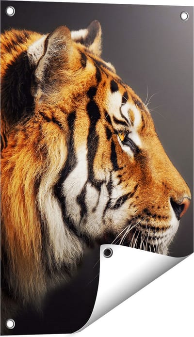 Gards Tuinposter Zijaanzicht van een Tijger - Tijgerkop - 40x60 cm - Tuindoek - Tuindecoratie - Wanddecoratie buiten - Tuinschilderij
