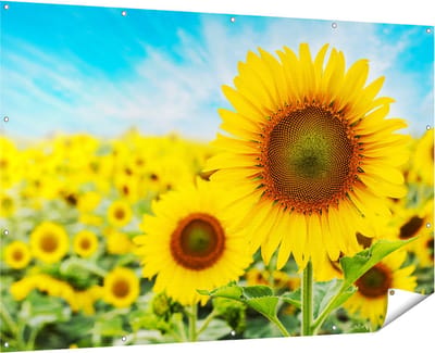 Gards Tuinposter Zonnebloemen Veld - 180x120 cm - Tuindoek - Tuindecoratie - Wanddecoratie buiten - Tuinschilderij