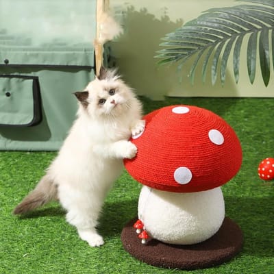 KZQ Paddenstoelvormige krabpaal voor katten, schattige krabpaal voor katten, duurzame krabplank van sisaltouw, krabpaal speciaal voor kittens, kattenspeeltje, voor kittens om mee te spelen en hun klauwen te slijpen, geen montage nodig.