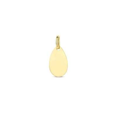 14K geelgoud graveerhanger 19 mm 4032773