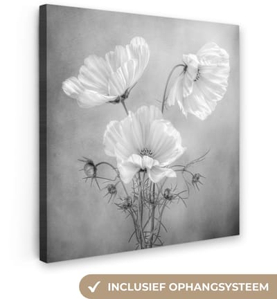 Canvas schilderij 20x20 cm - Wanddecoratie Stilleven - Bloemen - Zwart wit - Klaproos - Botanisch - Muurdecoratie woonkamer - Slaapkamer decoratie - Kamer accessoires - Schilderijen op canvas