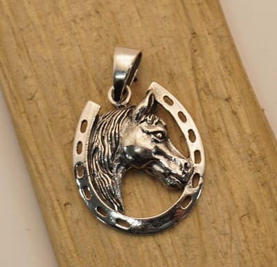 Sterling zilveren hanger paard met lange manen in hoefijzer - 925 zilver hangertje van een paard hoofd- zilveren hanger paard in hoefijzer - pendant horse silver - paardenliefhebbers hangers - hanger van 925 zilver paardenhoofd in hoefijzer