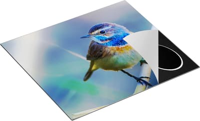 Chefcare Inductie Beschermer Kleurrijke Blauwborst Vogel op een Tak - 60x50 cm - Afdekplaat Inductie - Kookplaat Beschermer - Inductie Mat