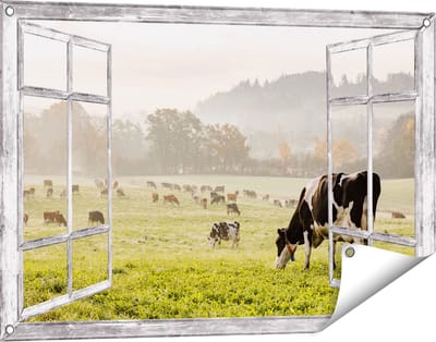 Gards Tuinposter Doorkijk Zwart Witte Koeien in de Wei - 90x60 cm - Tuindoek - Tuindecoratie - Wanddecoratie buiten - Tuinschilderij