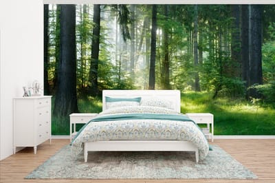 Behang - Fotobehang Natuur - Bomen - Bos - Groen - Zon - Gras - Planten - Breedte 430 cm x hoogte 240 cm