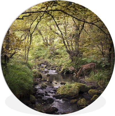 WallCircle® Wandcirkel 140x140 cm - Muurcirkel Hert - Boom - Bos - Muurdecoratie woonkamer - Wanddecoratie slaapkamer - Kamer decoratie accessoires - Ronde schilderijen