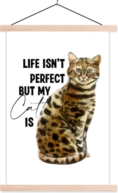 Posterhanger incl. Poster 40x60 cm - Schoolplaat - Life isn't perfect but my cat is - Spreuken - Quotes - Katten - Textielposter - Blanke latten