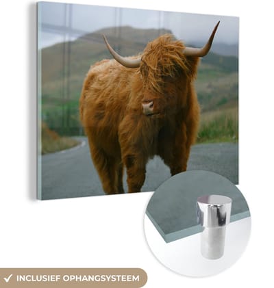 MuchoWow® Glasschilderij 160x120 cm - Schilderij acrylglas - Schotse Hooglander - Berg - Weg - Foto op glas - Schilderijen