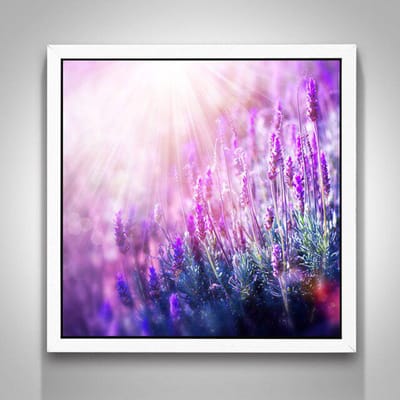5D DIY Diamond Painting lavendelvelden Borduren Diamond Cross Stitch Home Decor Gift 30X30CM pink