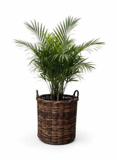Ronde Rotan Opbergmand - Antiek - Ø41xH40 cm - met handvat - Houtmand - Lectuurmand