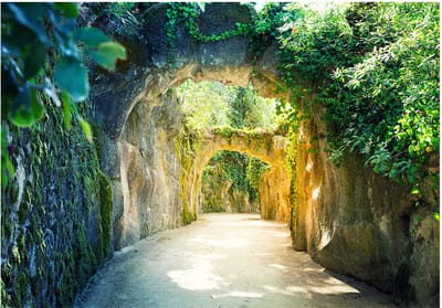 Fotobehangkoning - Behang - Vliesbehang - Fotobehang 3D Tunnel in de Natuur - Via naturae - 100 x 70 cm