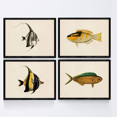 Set van 4 borden - Decoratieve prints - Wanddecoratie - Vintage visontwerp - A3 formaat - Geel