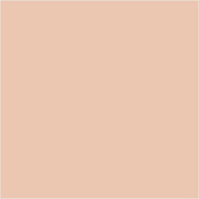 BIC Visa Color Kleurstiften, lijndikte 3 mm, licht beige, 12 stuk/ 1 doos