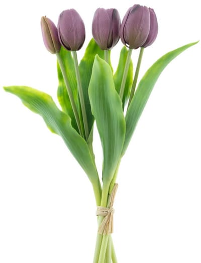 Real Touch Holland Tulip bundle Sally X5 aubergine 36cm-Real Touch Tulips-Real Touch Tulpen-aubergine Beauty Combo-Tulpen- Kunstbloemen-Kunst Tulpen-Kunst Boeket-Tulp-36 CM-Zijden Bloemen-Latex Bloem-Bruiloft-Voorjaar-Lente