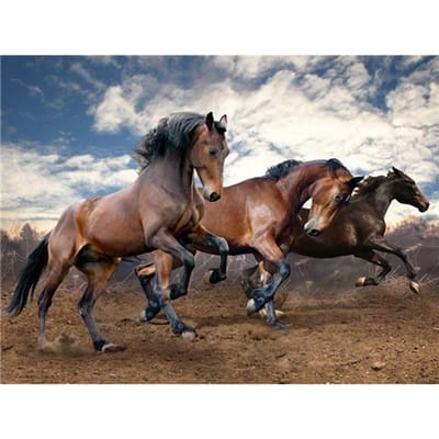 Peinture diamant 5D cheval, point de croix, broderie diamant 20X30CM gray