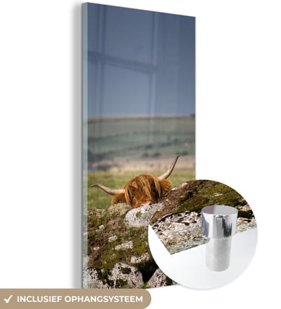 MuchoWow® Glasschilderij 20x40 cm - Schilderij acrylglas - Schotse Hooglander - Stenen - Gras - Foto op glas - Schilderijen