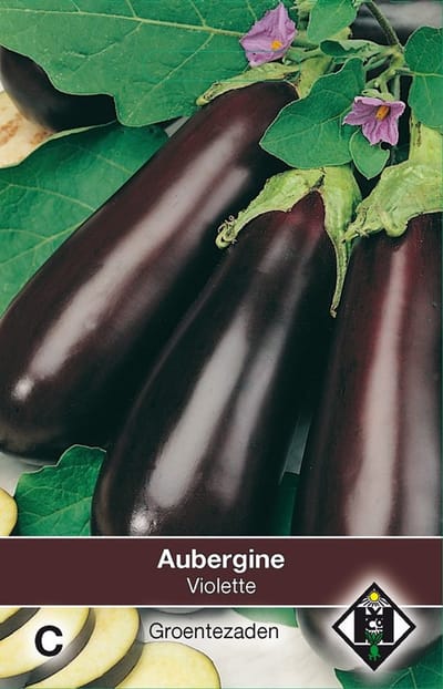 2 stuks Aubergine Halflange VioletteVan Hemert & Co