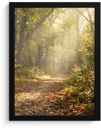 Poster in lijst - Fotolijst 30x40 cm - Posters - Zonlicht - Bospad - Bomen - Posterlijst zwart - Decoratie - Wanddecoratie woonkamer - Muurdecoratie slaapkamer