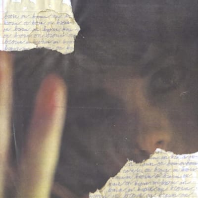 Dads - Brown On Brown (2 LP)