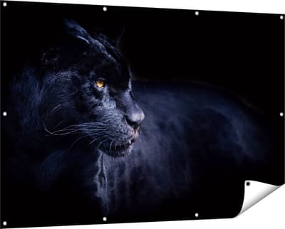 Gards Tuinposter Zwarte Panter - 150x100 cm - Tuindoek - Tuindecoratie - Wanddecoratie buiten - Tuinschilderij