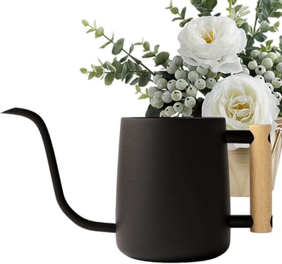 Gieter Kamerplanten - Bewateringskan - Planten Verzorgen - Lange Tuit - 1 Liter - Zwart