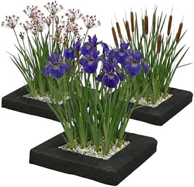 vdvelde.com - Vijver planteneiland set 3-delig - Compleetset met 12 waterplanten - Drijvende eilanden voor helder water en natuurlijke filtering - Winterhard en onderhoudsvriendelijk
