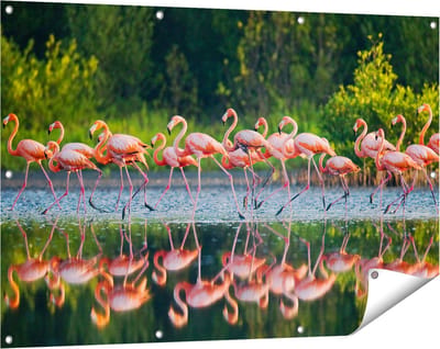 Gards Tuinposter Kudde Flamingo's op het Water - 120x80 cm - Tuindoek - Tuindecoratie - Wanddecoratie buiten - Tuinschilderij