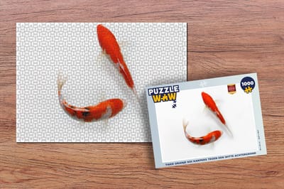 Puzzel Twee oranje koi karpers tegen een witte achtergrond - Legpuzzel - Puzzel 1000 stukjes volwassenen