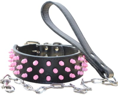 Dailygoods- Hondenhalsband Lederen - Hondenriem - Halsbanden Set - Breedte 2 Inch - Geschikt voor Medium/Grote Honden - Kwaliteitsgarantie - Hondentuig