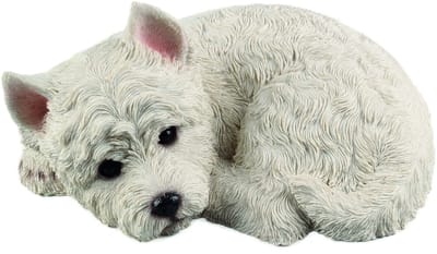 Liggende Westie