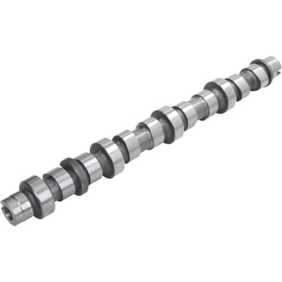 Nokkenas  AE CAM949