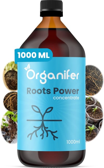 Wortelstimulator (1L) Roots Power Concentraat - Stekmiddel - Betere en Snellere Wortelontwikkeling - Universeel - o.a. Voor Kweken en Stekken - Verplanten - Ontwikkelfase - Vergroot Voedingsstoffen Opname en Resultaat - Organifer