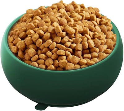 Hondenvoerbak - Slow Feeder - Gezond Eten - Anti-verstikking - 14.7 x 14.5 x 5.2 cm - Groen