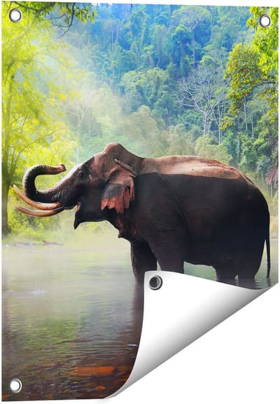Gards Tuinposter Olifant in het Water - 40x50 cm - Tuindoek - Tuindecoratie - Wanddecoratie buiten - Tuinschilderij
