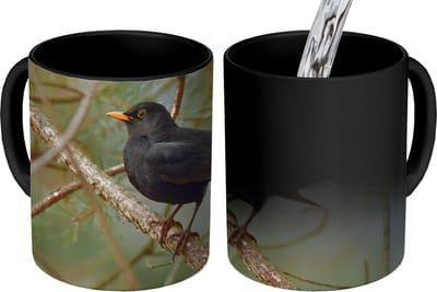 Magische Mok - Foto op Warmte Mokken - Koffiemok - Vogel - Merel - Takken - Dieren - Magic Mok - Beker - 350 ML - Theemok